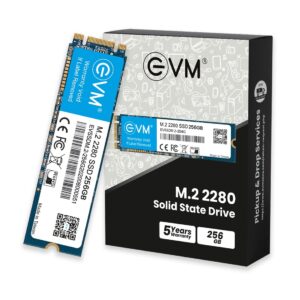 Evm M.2 Ssd (5)